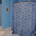 DSC_0419 DSC_0419