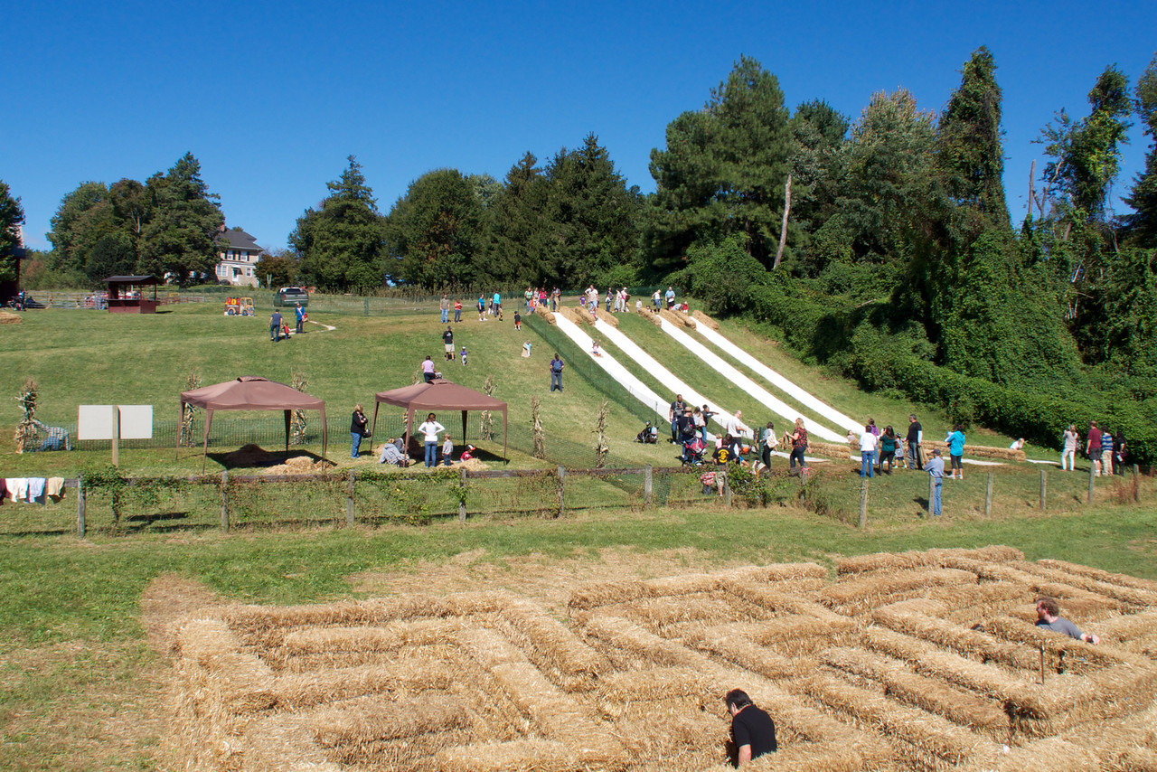 Weber's Farm Fall Harvest Festival Days Marney Kirk Maryland Real