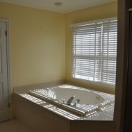 Master Bathroom Jacuzzi