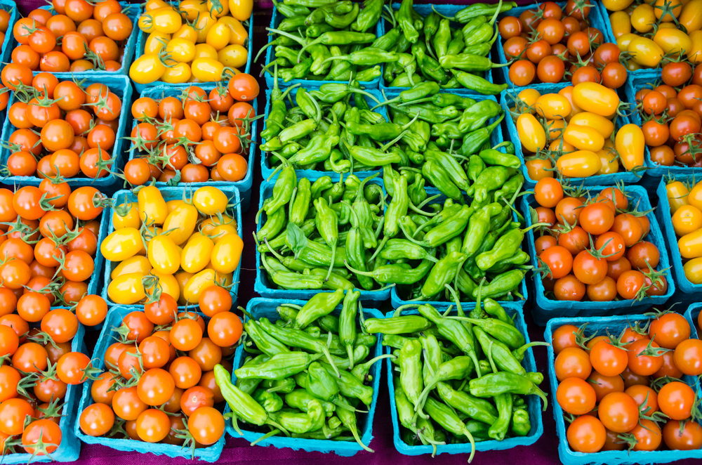 Baltimore Farmers Market 2015 Marney Kirk Maryland Real Estate Agent