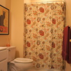667 Budleigh Lower Level Full Bath (Third Full Bath)