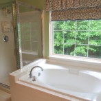 750 Leister Master Bath Tub and Shower